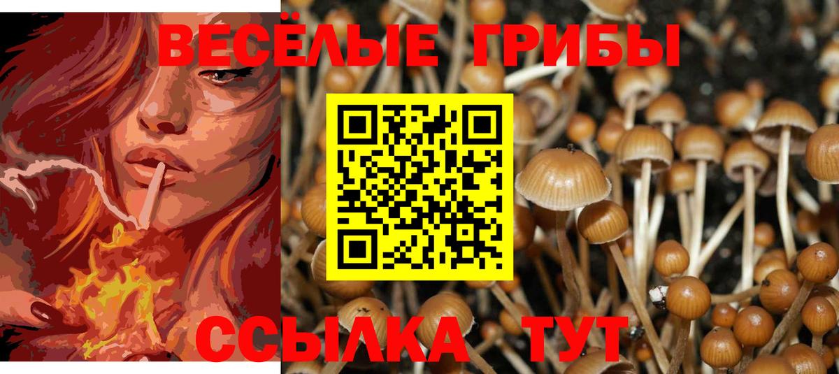 Псилоцибиновые грибы Psilocybine cubensis  Вход с VPN  Кстово  Псилоцибиновые грибы GOLDEN TEACHER 